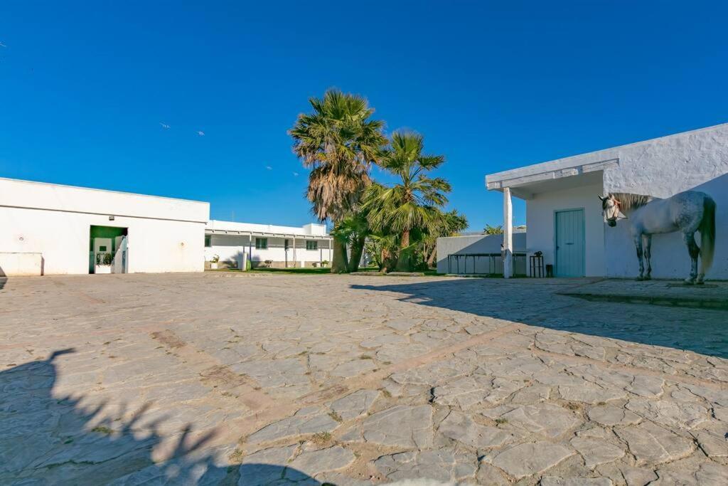 Habitaciones Rurales La Vega Tarifa Luaran gambar