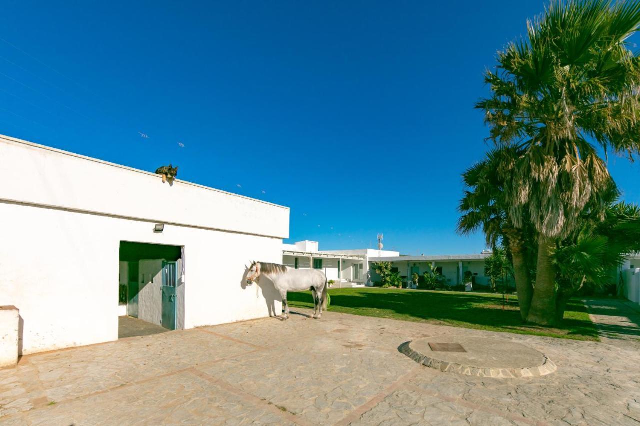 Habitaciones Rurales La Vega Tarifa Luaran gambar